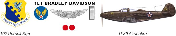 davidson-2.png