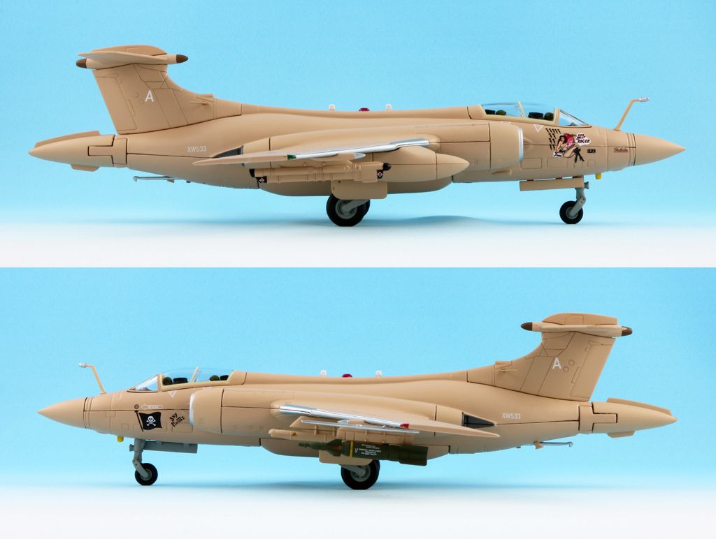 corgi buccaneer