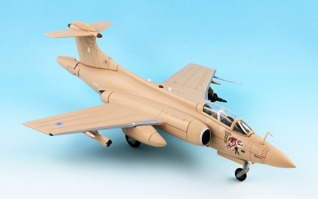 corgi buccaneer