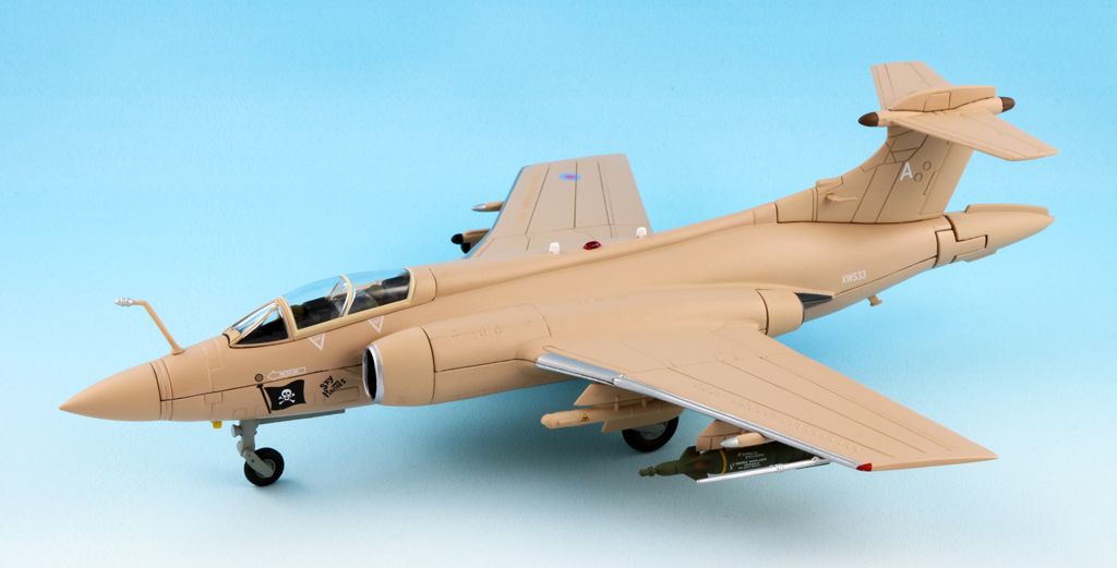 corgi buccaneer