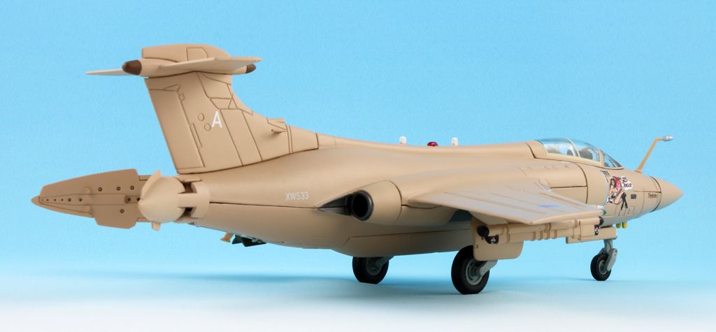 corgi buccaneer