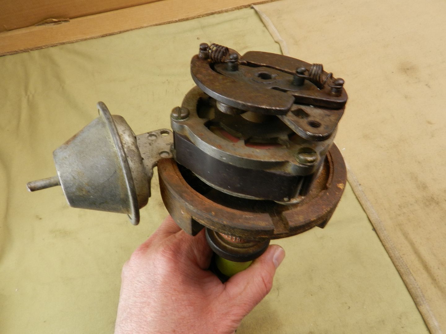 DSCN2182.jpg~original