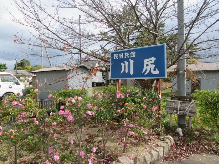 天橋立 民宿旅館 川尻 O ノ 旅遊觀光文化 台灣小站