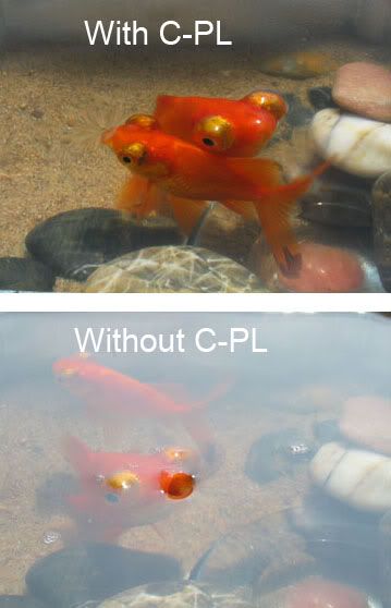CPLTest1.jpg