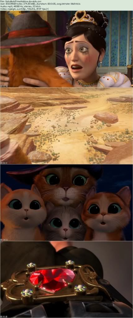 GatoBotaTresdiablosJavoldu_s.jpg