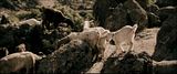 th_AlmanyaDVDRLatta90_00_13_52_00000.jpg