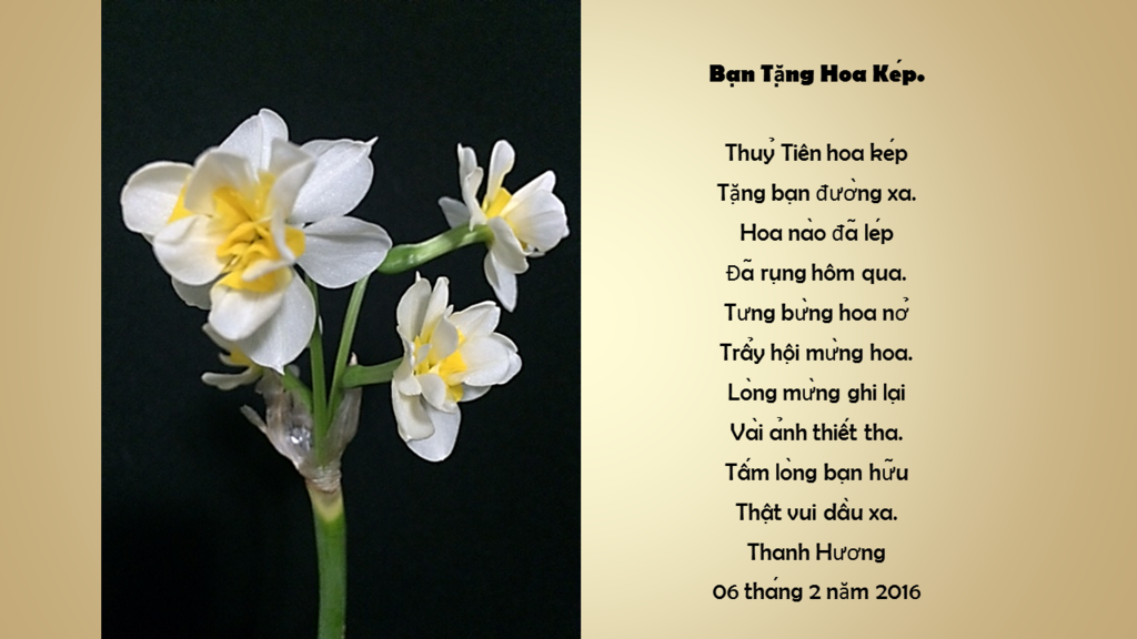 Bạn Tặng Hoa Kép, thơ Thanh Hương photo Diapositive1.png
