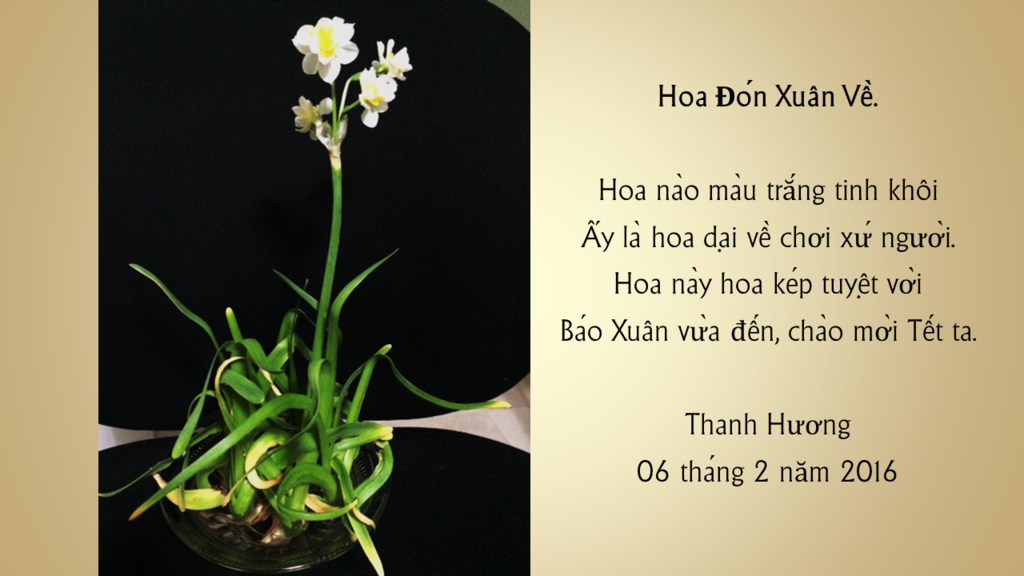 Hoa Đón Xuân Về, thơ Thanh Hương photo Diapositive2.png