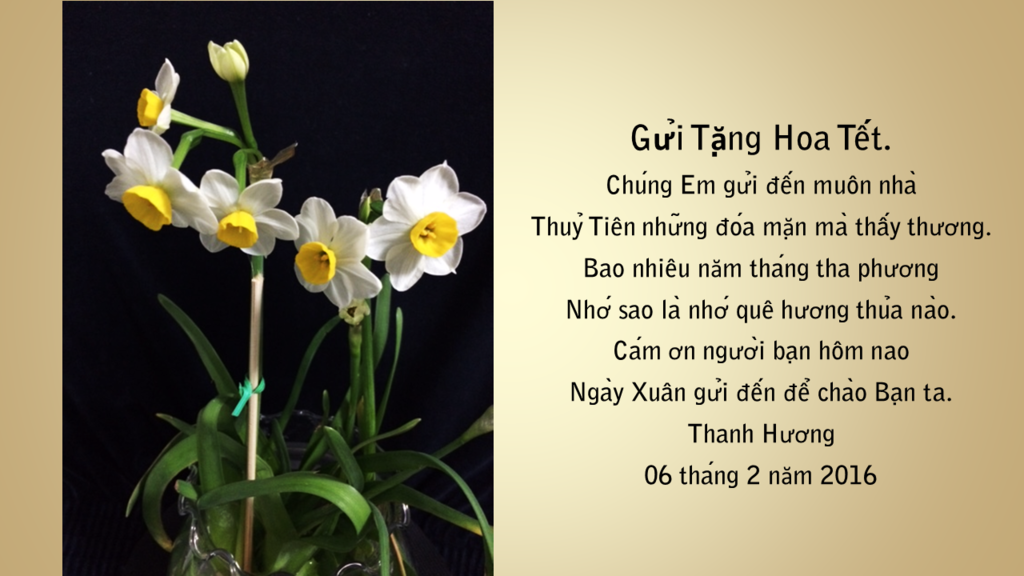Gửi Tặng hoa Tết, thơ Thanh Hương photo Diapositive3.png