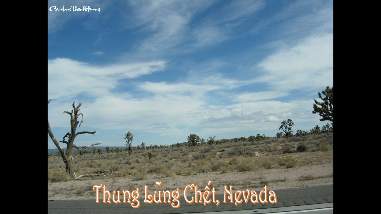  photo Nevada CRTH 2014 HKL 1.jpg