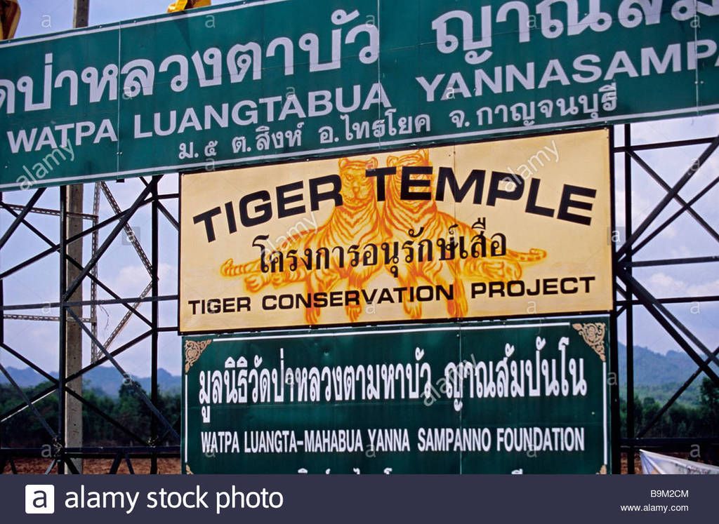  photo thailand-kanchanaburi-entrance-to-the-pha-luang-ta-bua-tiger-temple-B9M2CM1.jpg