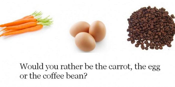  photo carrort-egg-or-coffee-bean.png