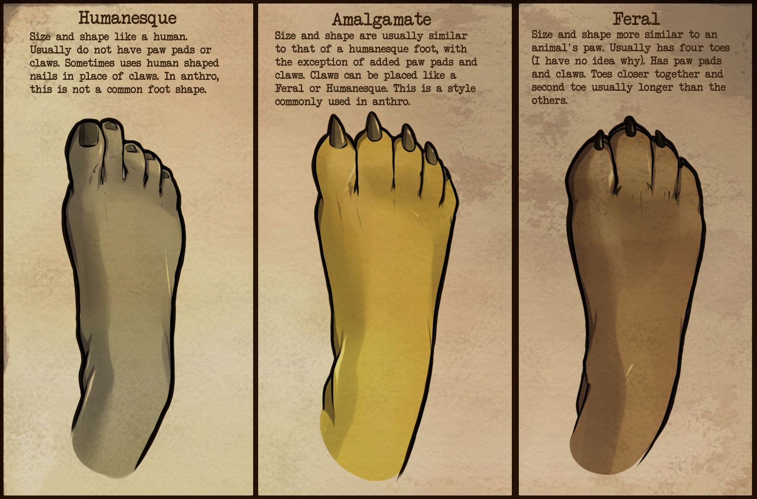 S has has feet question S has has feet all became