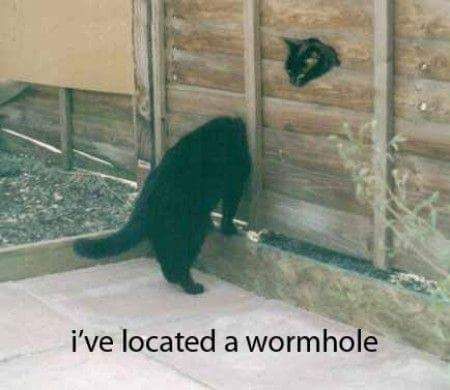 Cat%20Wormhole.jpg