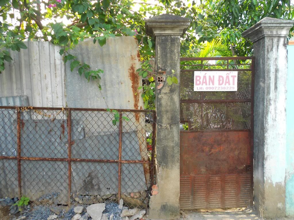 [Bán] Đất Thổ Cư diện tích 101 m2, hẻm đường Phạm Hữu Lầu, Quận 7 = 1 tỷ 3 - 1