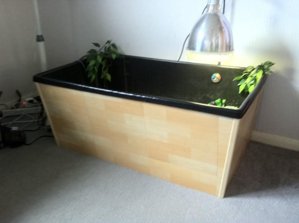 Turtle Tub (pic heavy) Reptile Forums