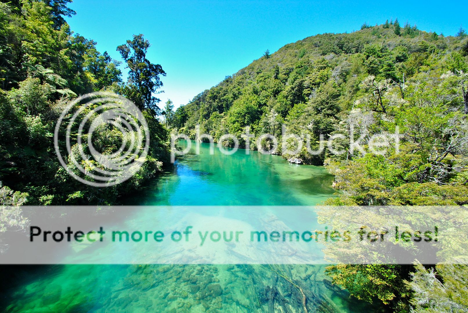 Cruising the waters of Abel Tasman National Park, New Zealand