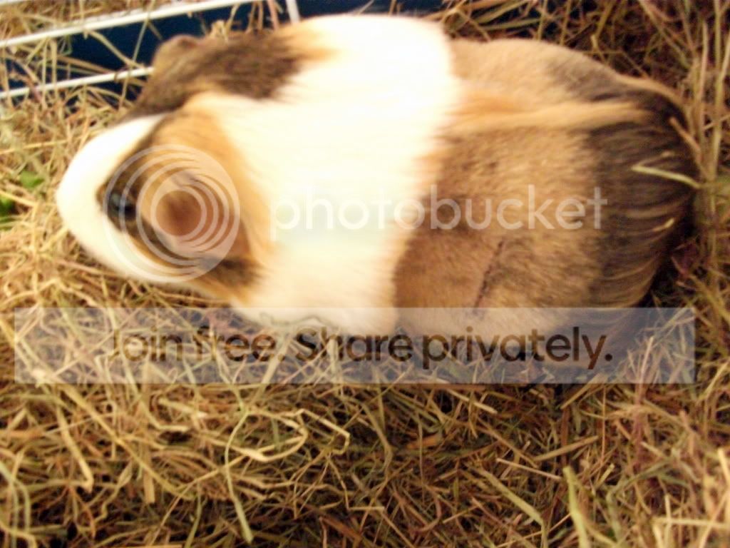 DSCF1502.jpg