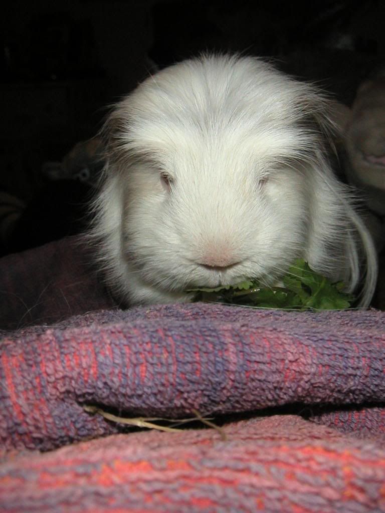 PICT0012.jpg